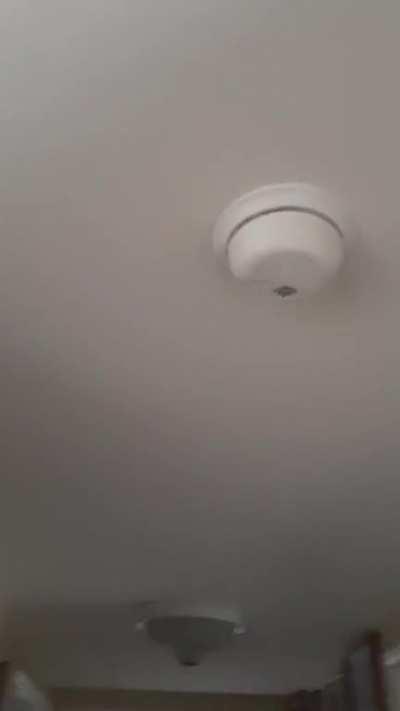 all the smoke dectectors in my apartment went off...