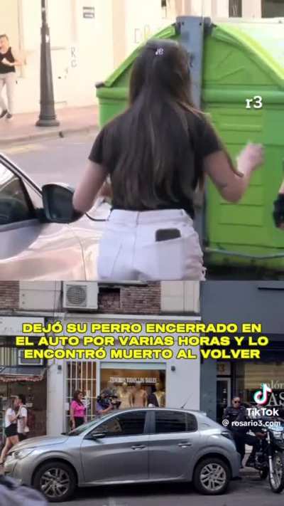 Dejó al su perro 7 horas en el auto y murió 