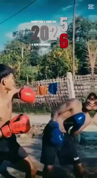 Unicorn Guerrilla Force 2025 year-in-review compilation (song is Mythborne- The Iron In Her Heart with Vietnamese lyrics for some reason)