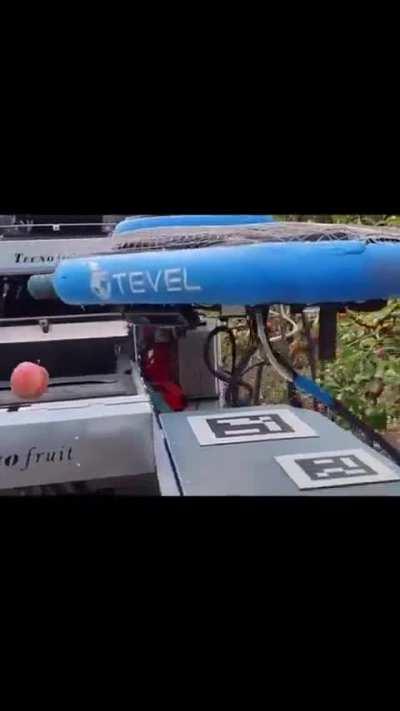 Robotic Apple Harvester