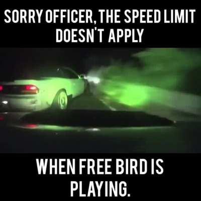 🆓️🐦
