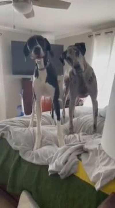 meeting got interrupted 