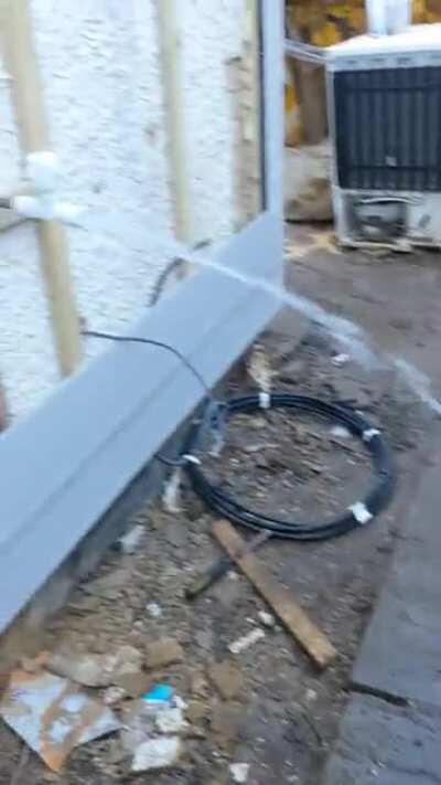 Found one in the wild