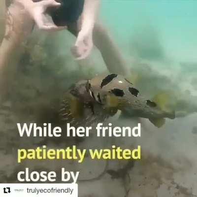 A friend in need is a friend indeed!