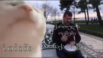 Next 4 years be like: