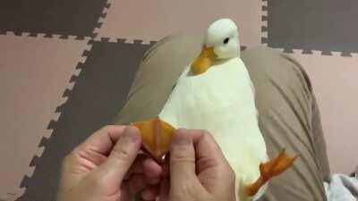 Cecelia began her day of pampering with a smirk. She’d pay for it all with alimony checks.