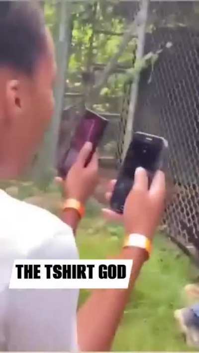 I hope the lion is fine!