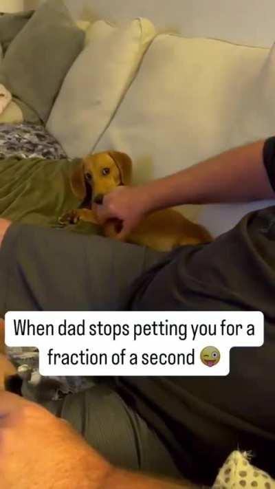 Did I say to stop petting...?