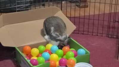 The Best Carrot Cake Moment I've Caught So Far! (Excuse my laugh 🤣)