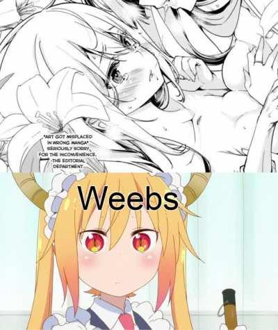 When the artist draws the panel for the wrong manga...