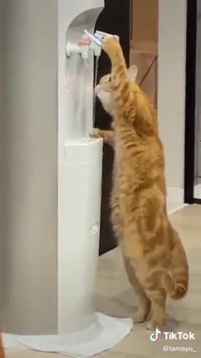 They are evolving at an alarming rate