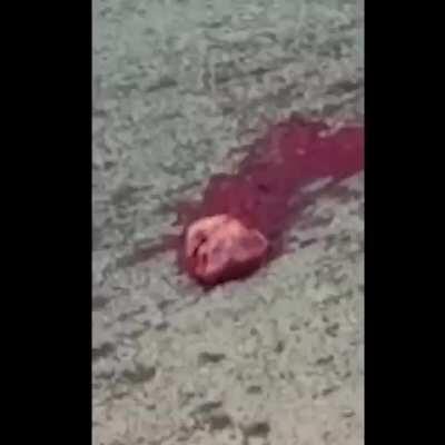 Вылетевшее после аварии сердце, продолжает биться на дороге.