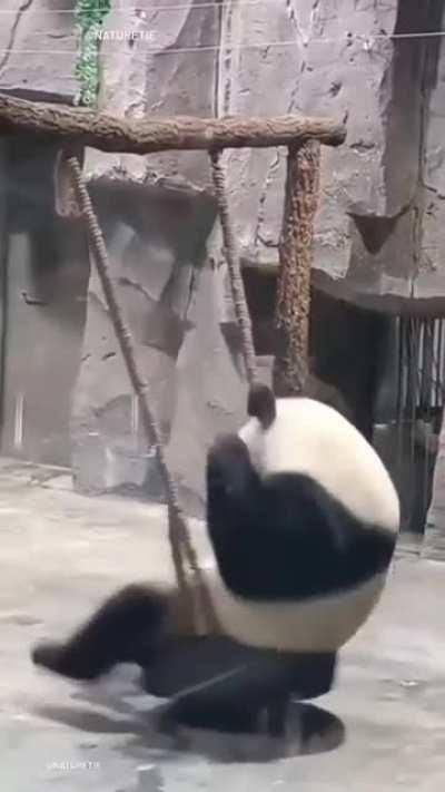 Task failed successfully