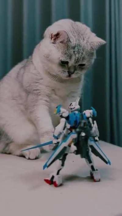 This cat kick gundam’s ass