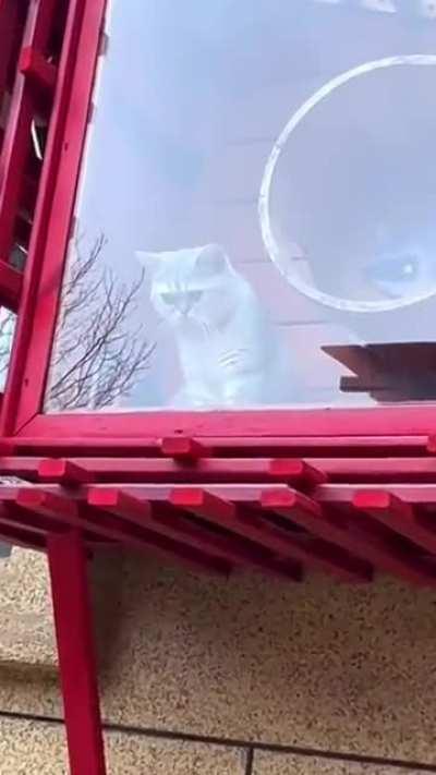 Good-Boi 3000 (with optional autonomous tracking and shooting targets)