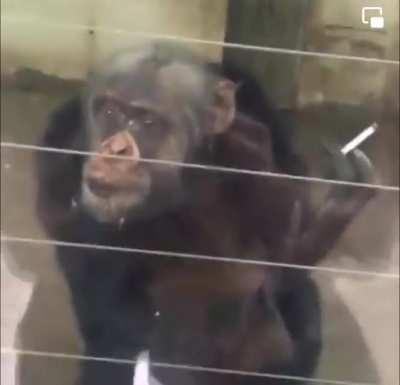 It’s not just the cigarette that’s wrong with this video…