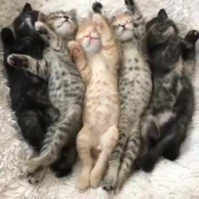 Function does not work on Array