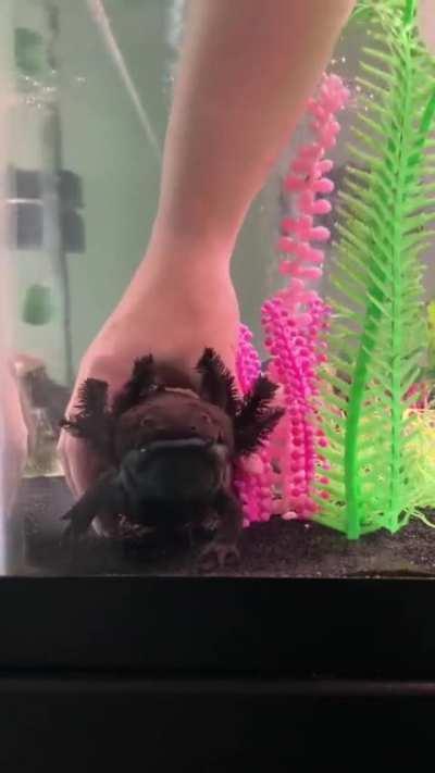 when you’re just vibing and mom says it’s tub time.