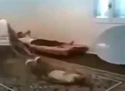 They're dancing awesome