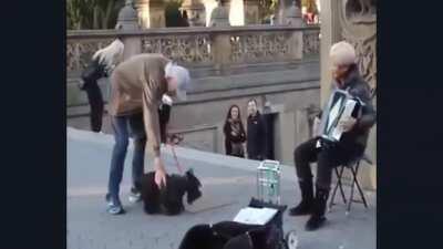 Sonna cosa nostra, - Our business, our concerns. Music taught me to feel, not to be just a dog ...