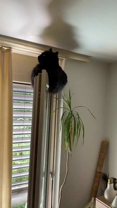 my lil boy loves hanging out there; I still wonder why