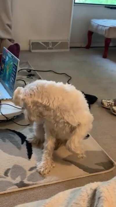 Heck, I think my butt smells