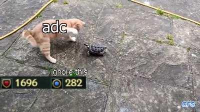 early game vs late game