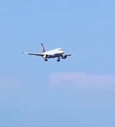 C H O M P C H O M P.gif