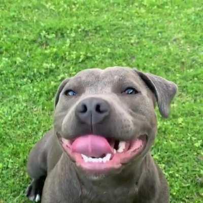 Two boops is the password for Frankie's smile