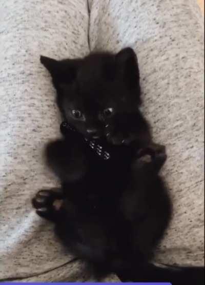 There’s a foot? There’s another foot? What?