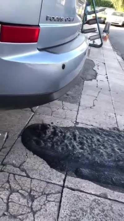 What exactly is happening here?