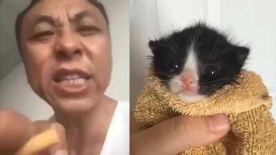 Dylan qliao se que va a ver este meme por el gato