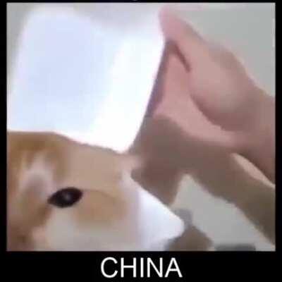 I'm 15 and this is yeet