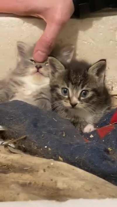 And now the other one