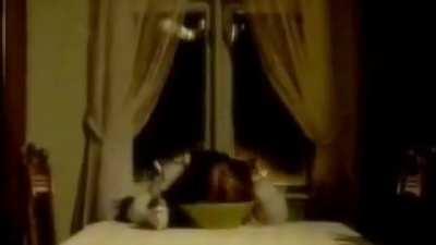 Watch this scary video I made on DPH, on DPH. If you can handle it.