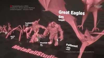 LOTR Size Comparison