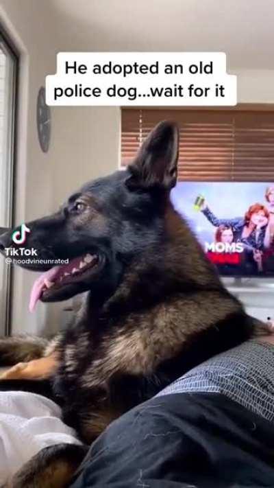 The real Boss ❤️