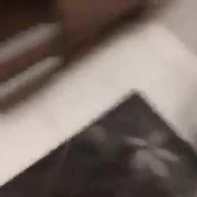 Yullalol - Video #0353