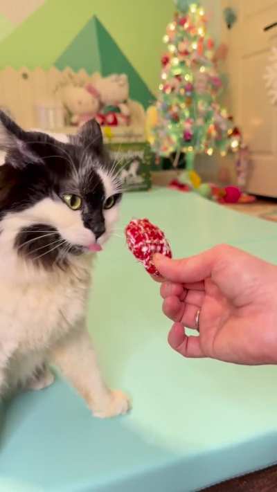 Advent calendar 2, day 18 💚❤️