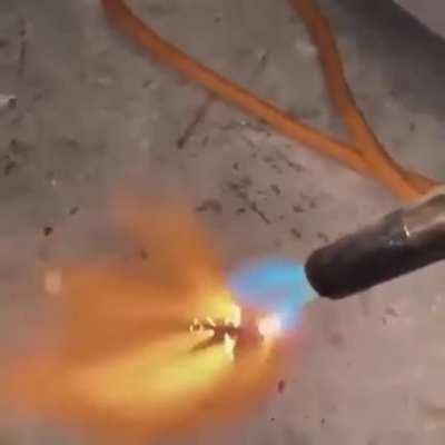 Someone give the serum to Armin noooooow!