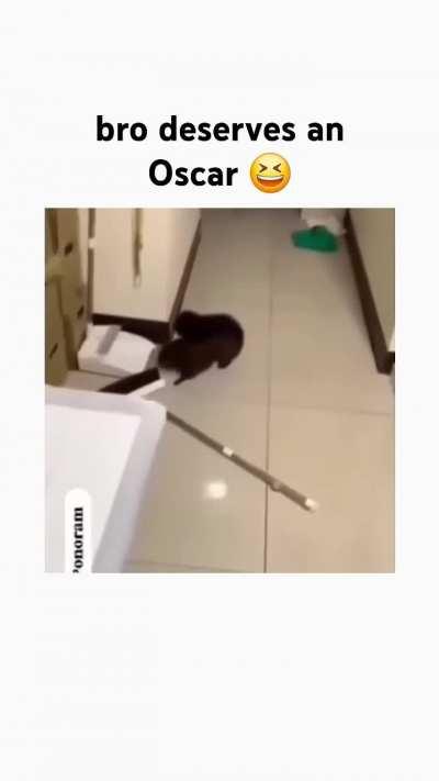 Bro deserves an Oscar