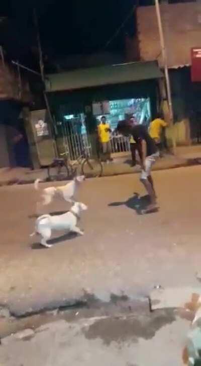 Bêbado Uchiha Vs Cachorros do Kakashi