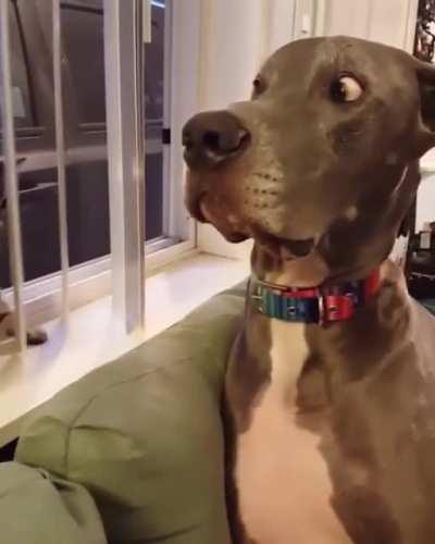 Chill chill man, I was just looking