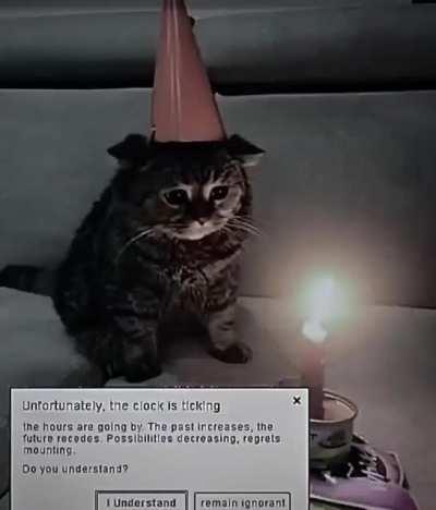 Sad cat thinking about life 😔