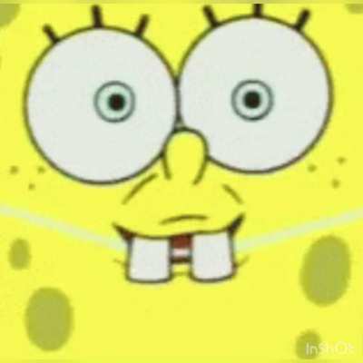 Spongeskeee