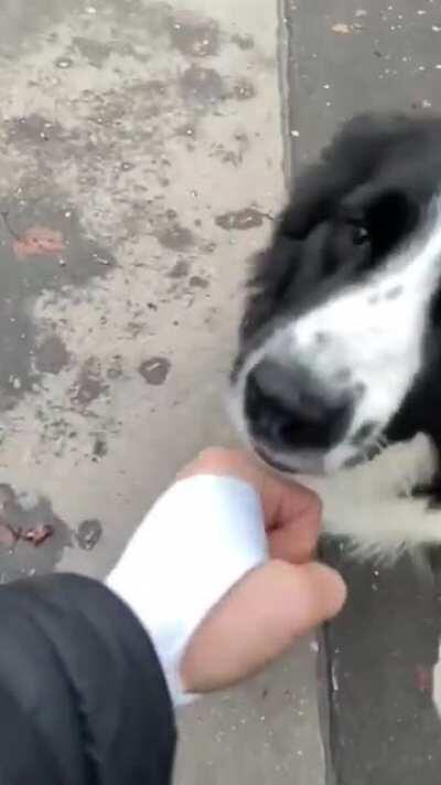 The perfect storm of intelligence and agility