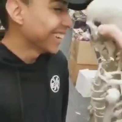 This is almost surely a repost but it's still hilarious