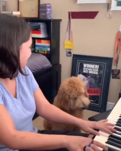 Derpy doggo appreciates music