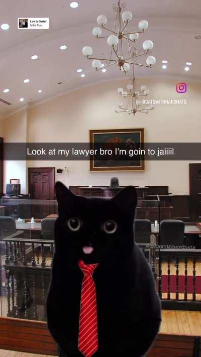 Best lawyer ever 