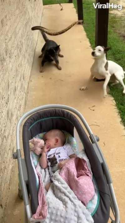 good thing he filmed it